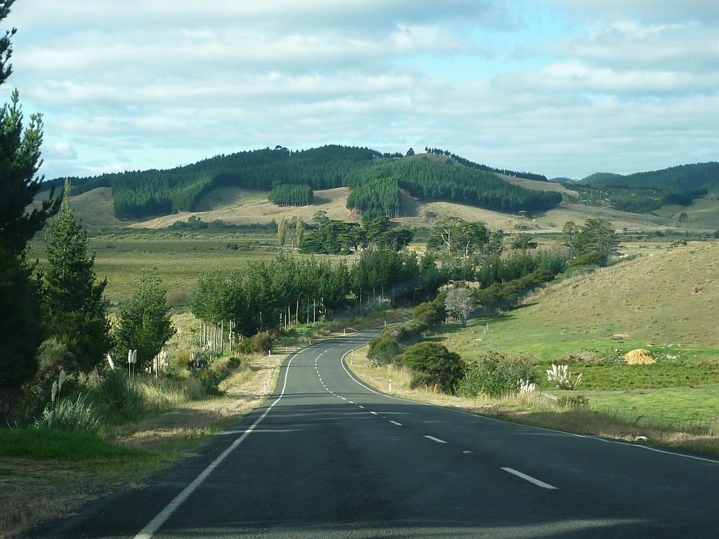 New_Zealand (1109).JPG